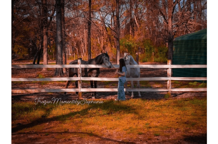 Frozen Moments Photography by Stephanie
